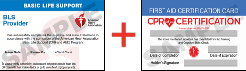Sample American Heart Association AHA BLS CPR Card Certificaiton and First Aid Certification Card from CPR Certification Raleigh