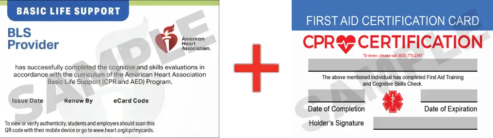 Sample American Heart Association AHA BLS CPR Card Certification and First Aid Certification Card from CPR Certification Raleigh