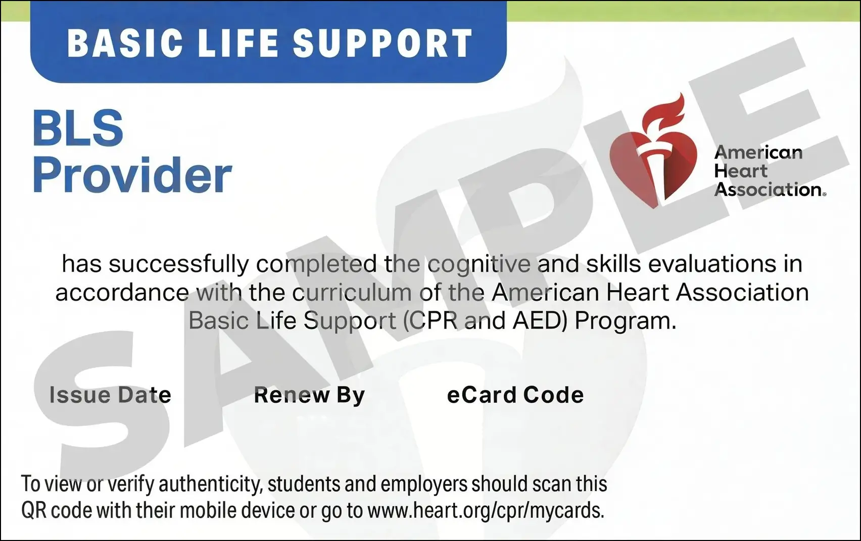 Sample American Heart Association AHA BLS CPR Card Certification from CPR Certification Raleigh